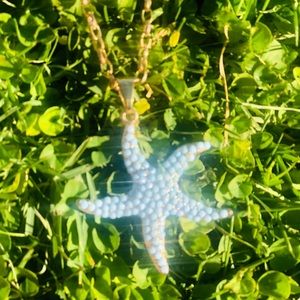 Beautiful Gold and blue stones sea star necklace.